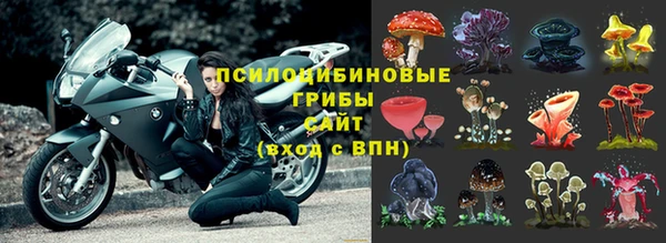 бошки Алексеевка