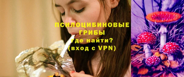 бошки Алексеевка