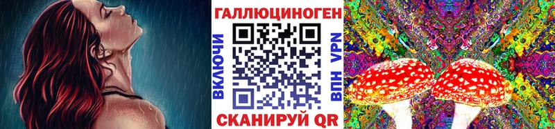 darknet формула  Тара  Псилоцибиновые грибы MAGIC MUSHROOMS  закладки 